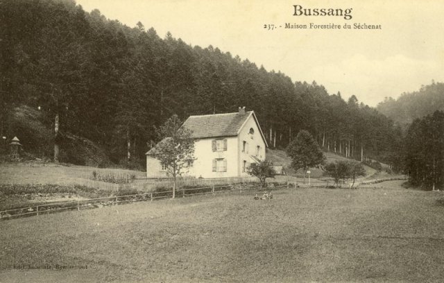 Bussang